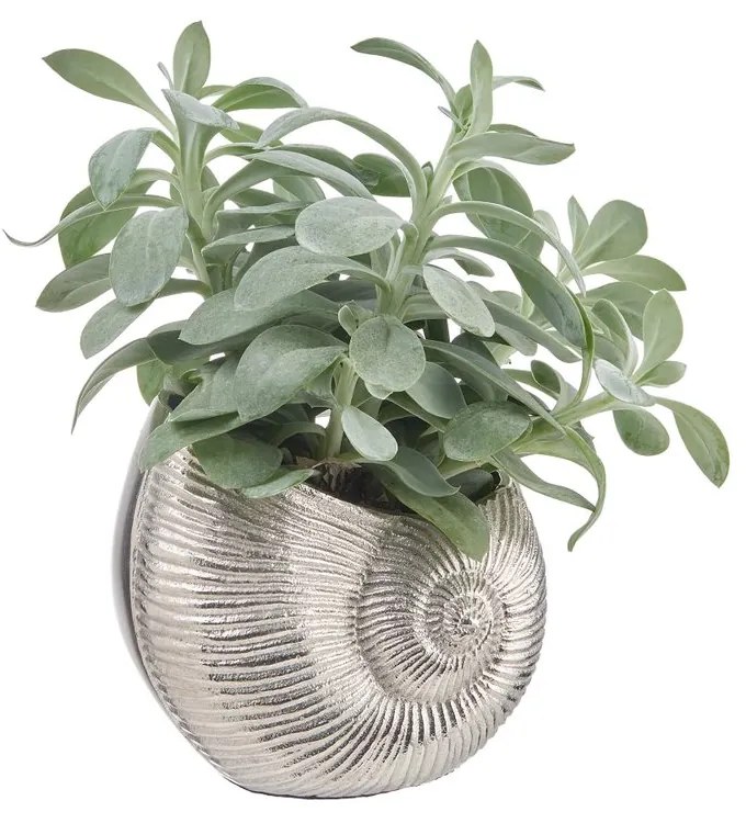 REEF váza/kaspó, ezüst kagyló 14 cm