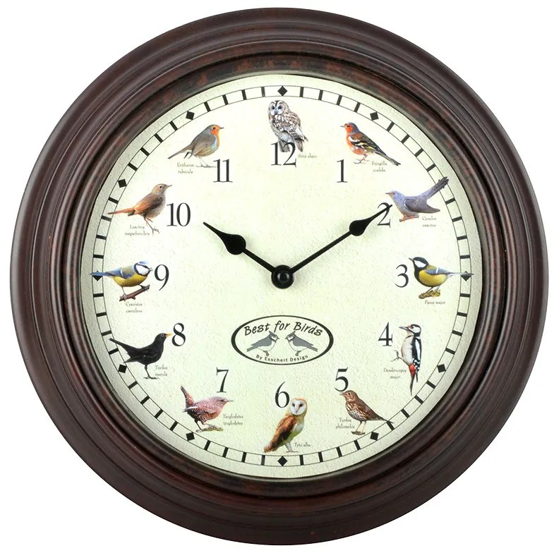 Óra madárhangokkal