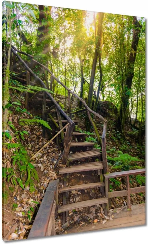 Vászonkép 70x100 Gyalogtúra