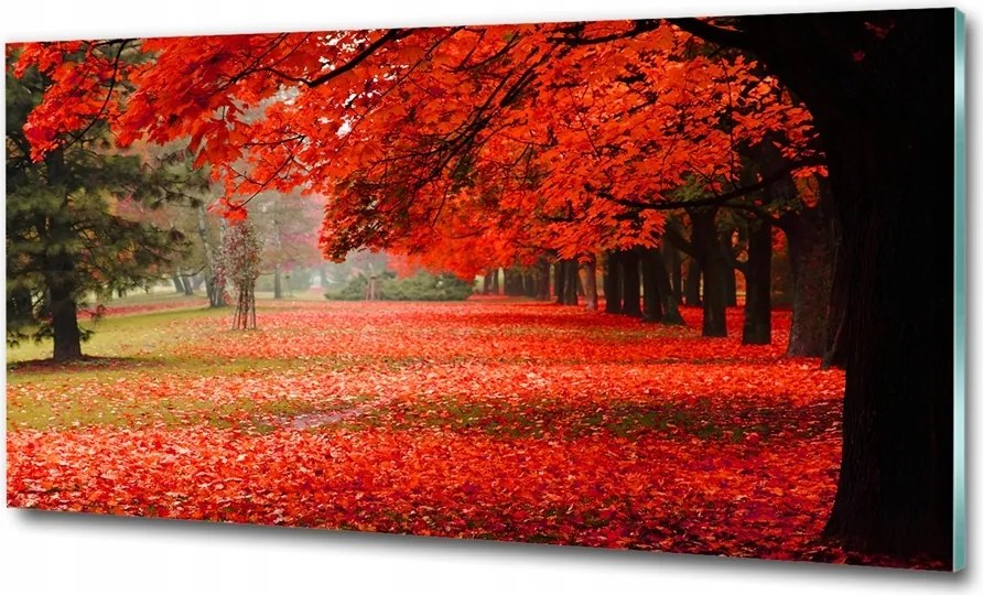 Fotótapéta üvegfalra Őszi fák 100x50