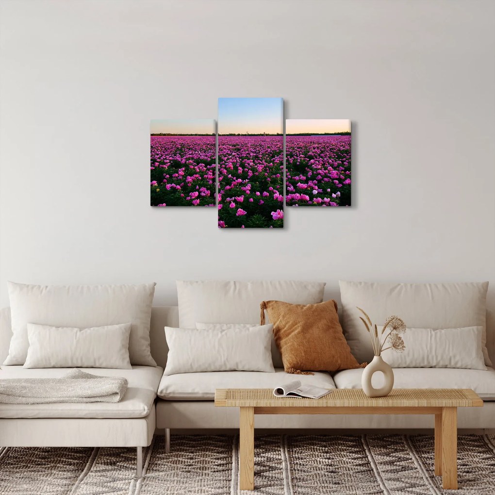 Kép - lila tulipánok rétje (90x60 cm)