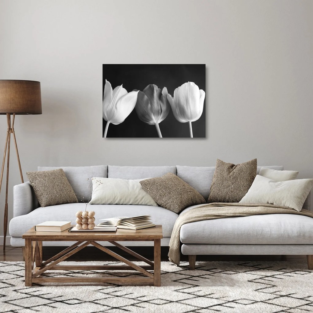 Kép - fekete-fehér tulipán virág (üvegen) (70x50 cm)