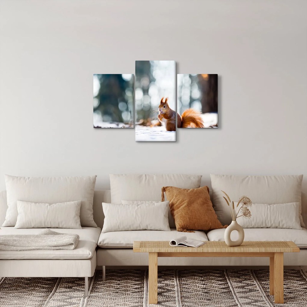 Kép - Mókus (90x60 cm)