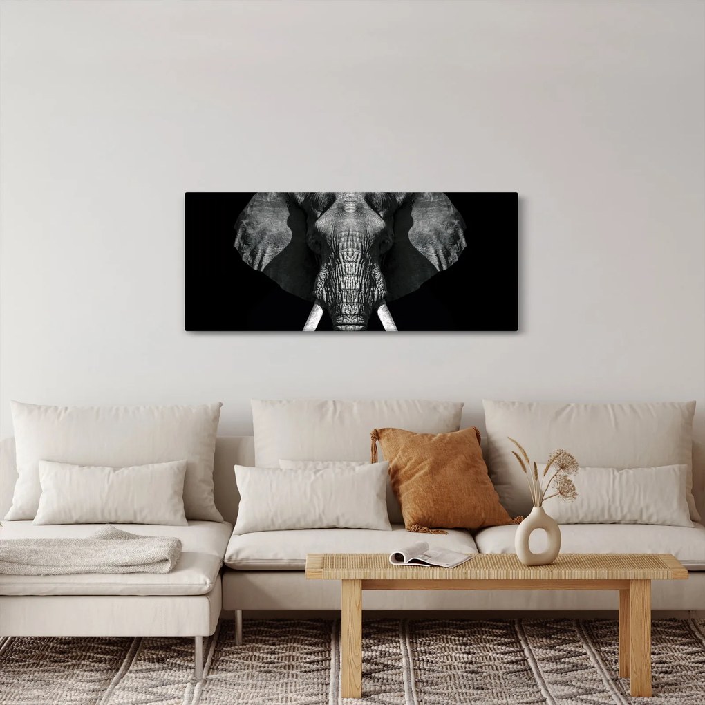 Kép - Elefánt fekete háttérrel (120x50 cm)