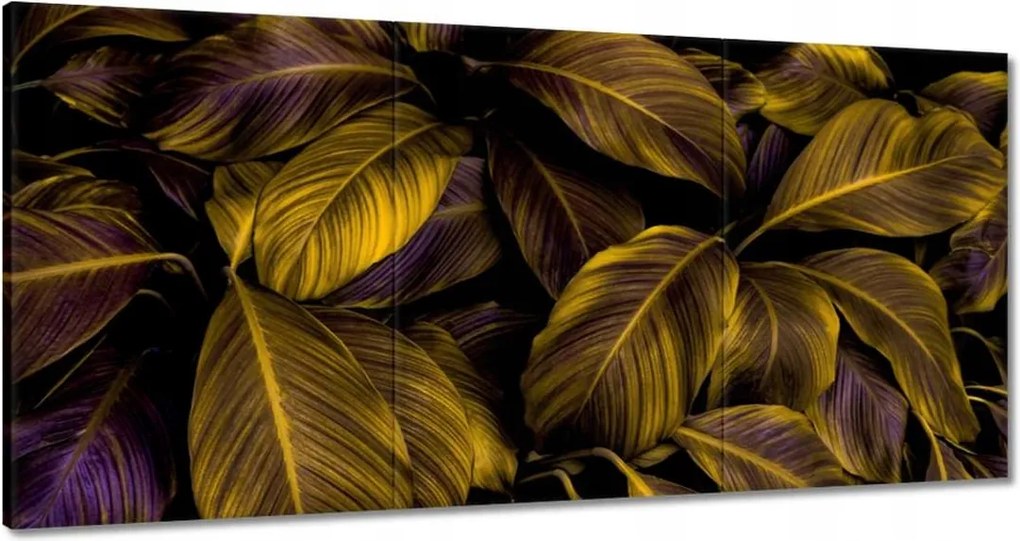 Vászonkép 60x30 Gyönyörű mézszínű levelek