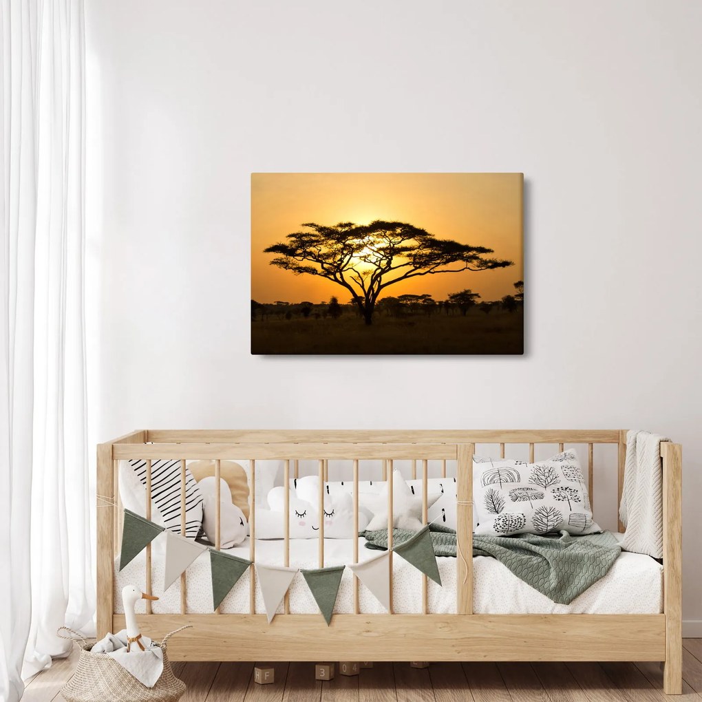 Kép - afrikai szavanna (90x60 cm)