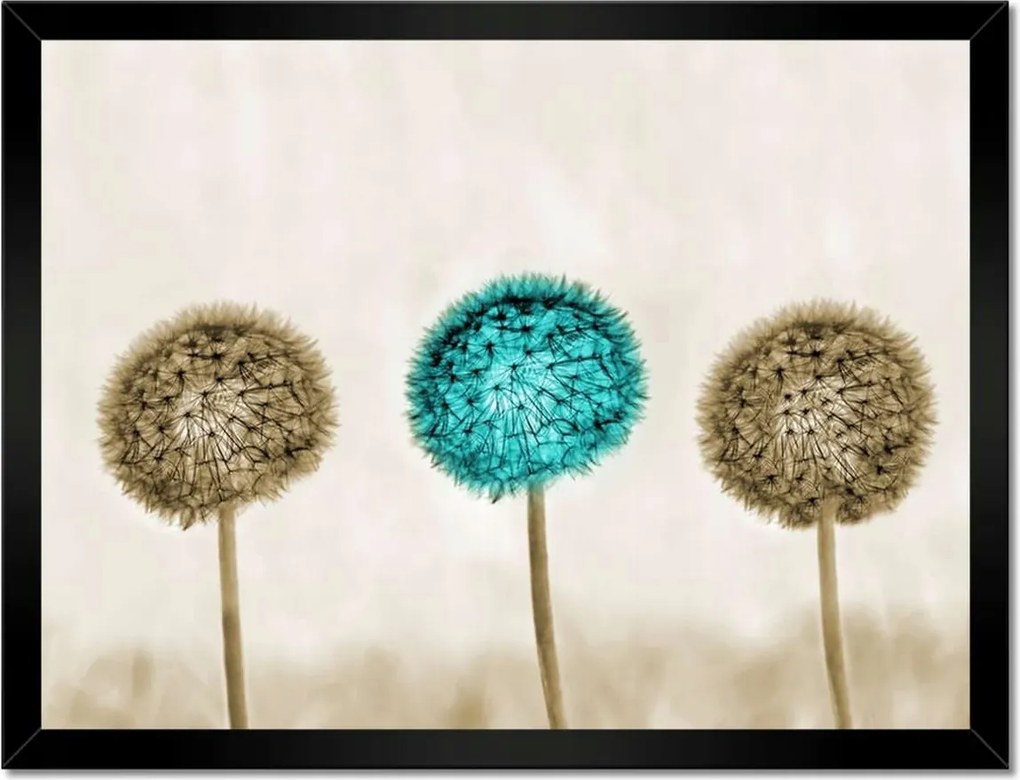 Poszterek keretben 40x30 Wenge és kék