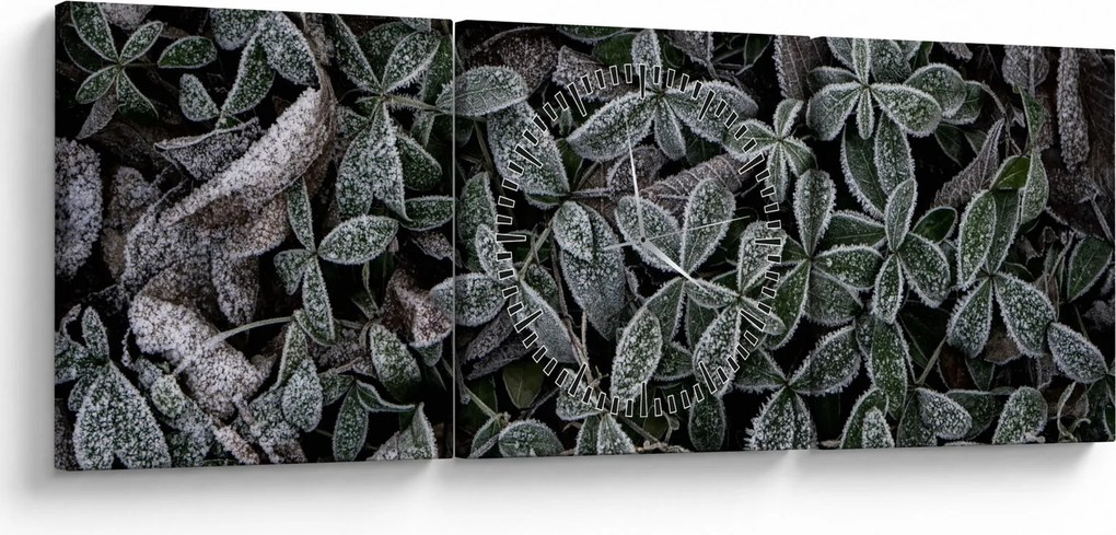 Kép - Fagyasztott növények (órával) (90x30 cm)