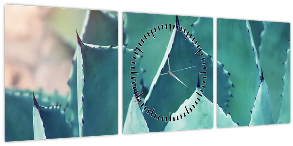 Kép - Szukulent (órával) (90x30 cm)