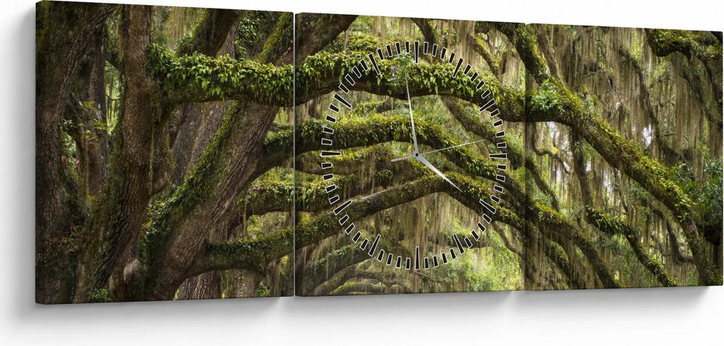 Kép - Oaks Avenue, Charleston, Dél-Karolina, Egyesült Államok (órával) (90x30 cm)
