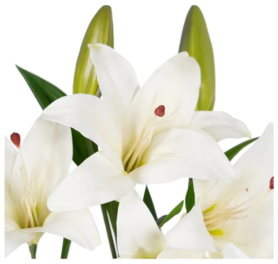 Művirág (magasság 59 cm) Lily – Ixia