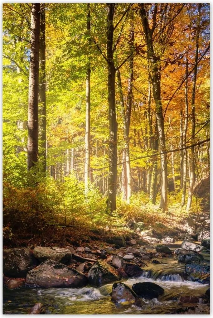 Poszterek 80x120 Tájkép