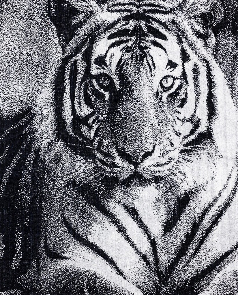 ANIMAL Tigris Strandtörölköző 165x90cm