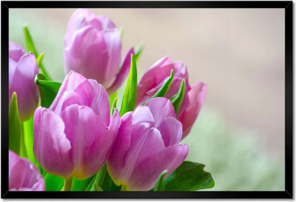 Poszter keretben 60x40 Tulipánok Virágok