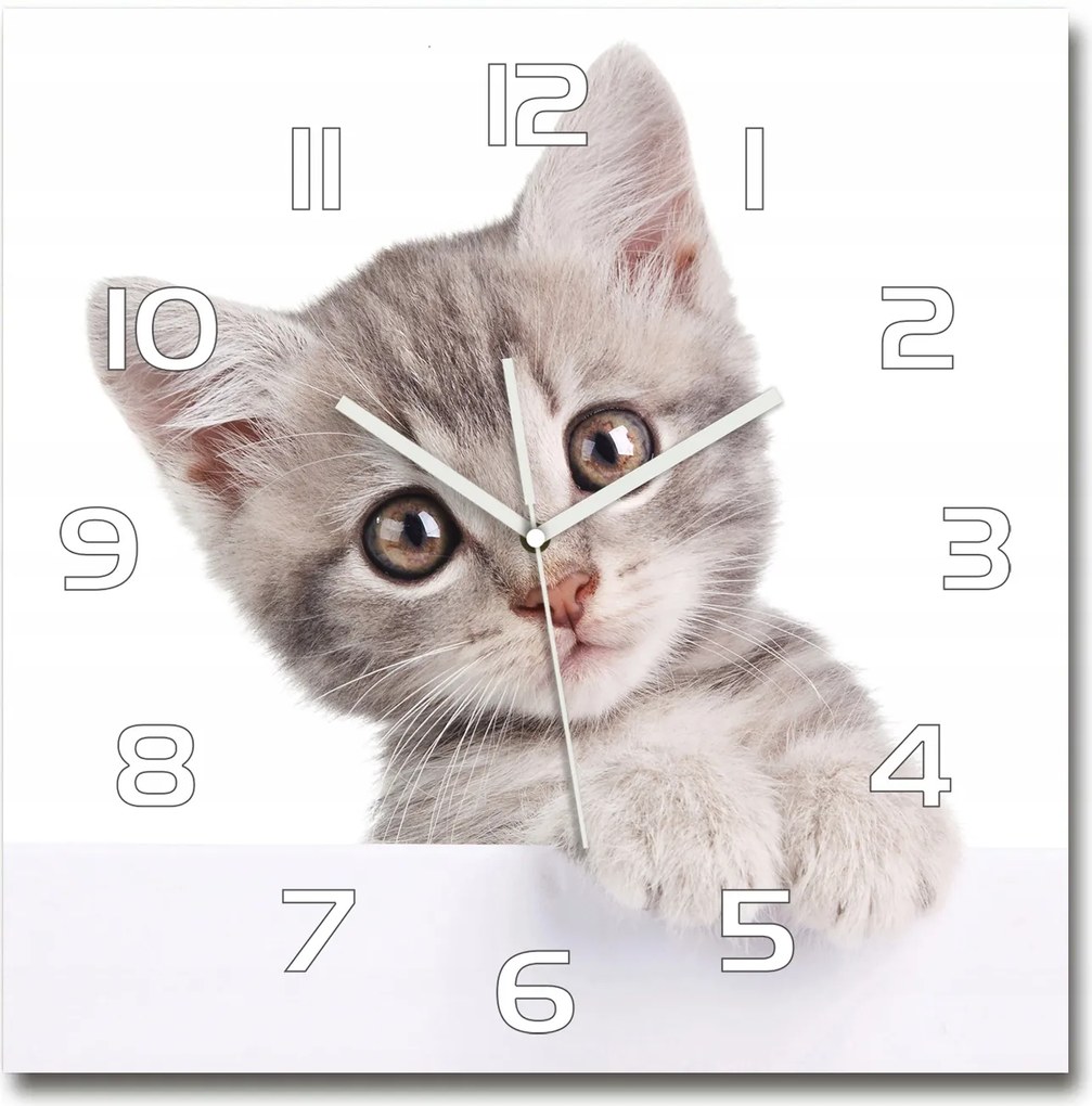 Nagy négyzet alakú üveg falióra Szürke macska 60x60 cm