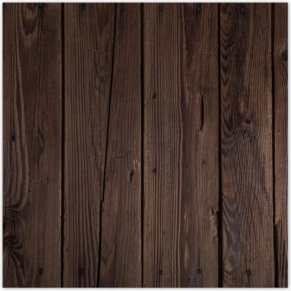 Poszterek 70x70 Fa világ Fa