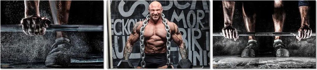 Vászonkép 3x 30x20 Triptichon Strong Man Erő