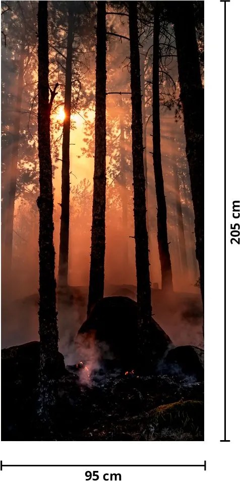 Fotótapéta ajtóra - Sötét erdő (95x205cm)