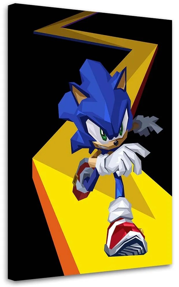 Gario Vászonkép Sonic - Nikita Abakumov Méret: 80 x 120 cm