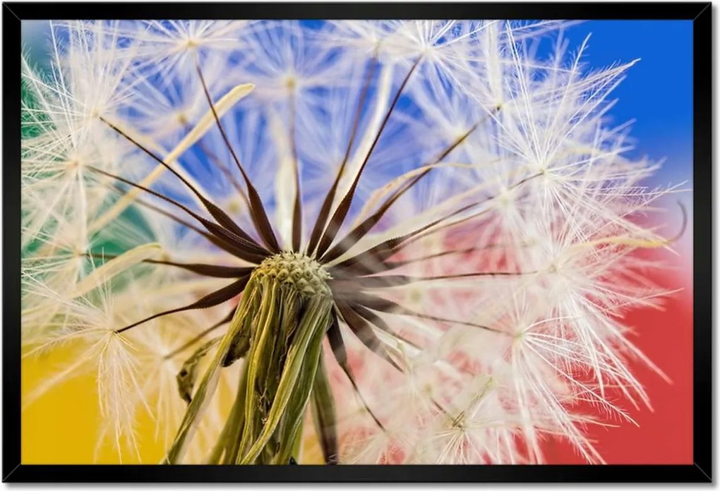 Poszterek keretben 60x40 Pitypang színekben