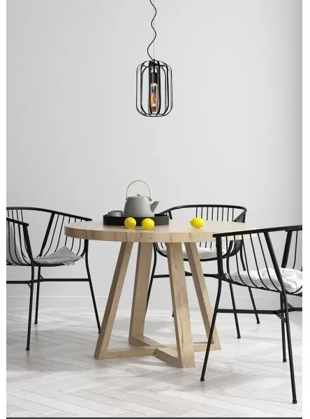 Lucide 25409/01/30 - Csillár zsinóron FERN 1xE27/60W/230V