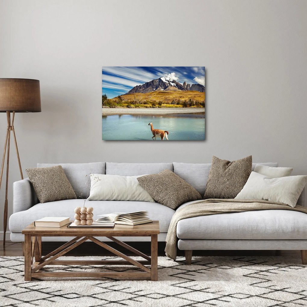 Kép - Torres del Paine Nemzeti Park (70x50 cm)