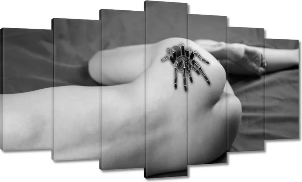 Vászonkép 140x80 Női akt pókkal