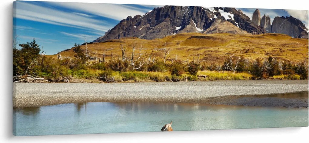 Kép - Torres del Paine Nemzeti Park (120x50 cm)