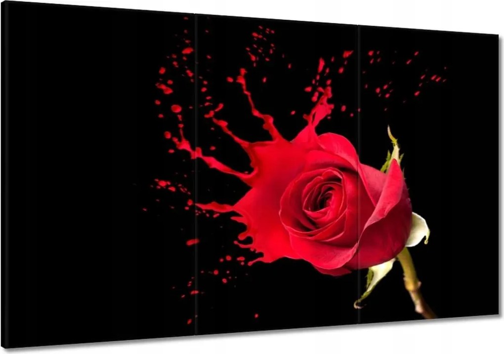 Vászonkép 120x80 Fröccsenő rózsa