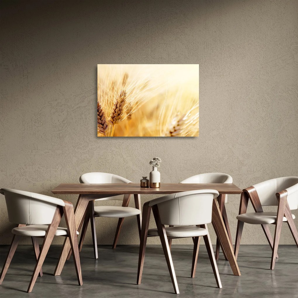 Kép - részlet gabona (üvegen) (70x50 cm)