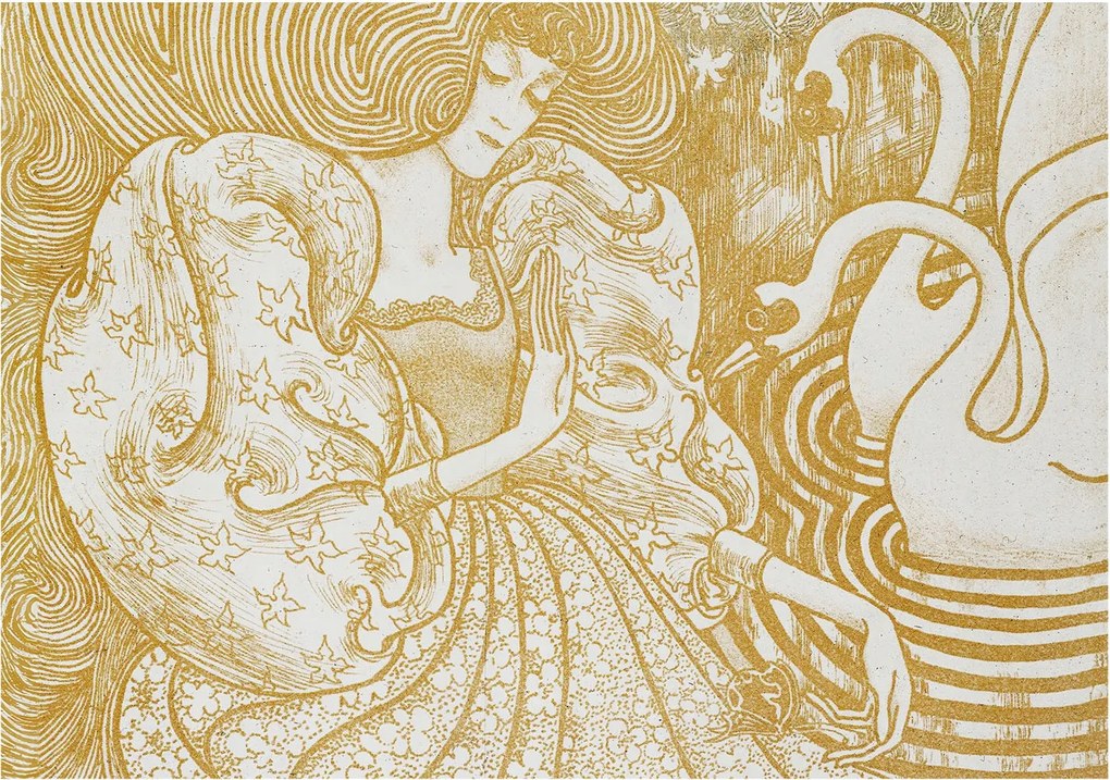 Fotótapéta Flizelin Fali Ragasztó Szett Női elegancia 208x146 Ragasztó