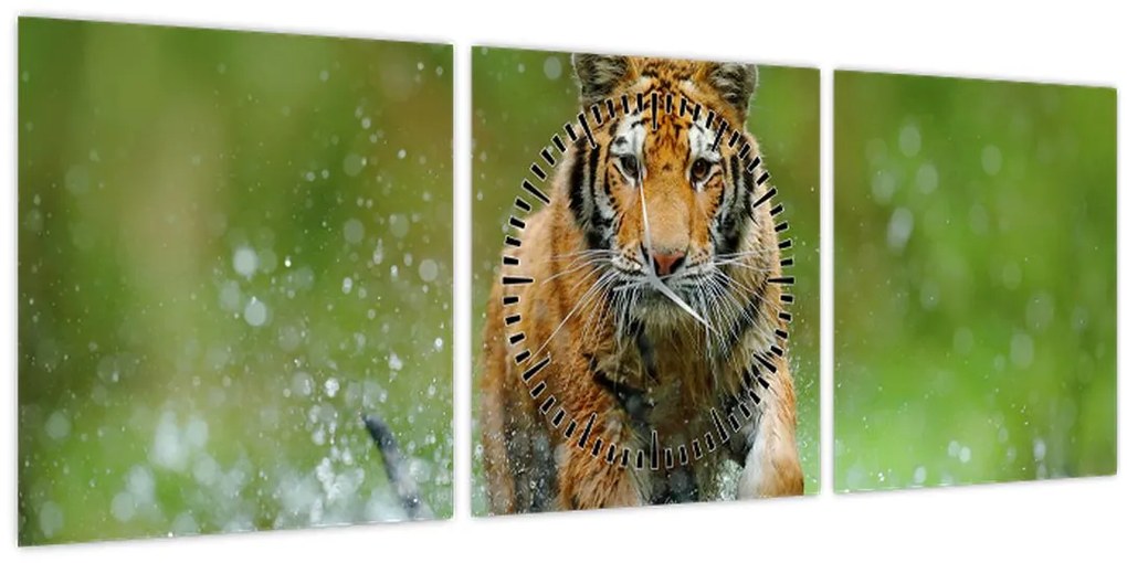 Kép - Futó tigris (órával) (90x30 cm)
