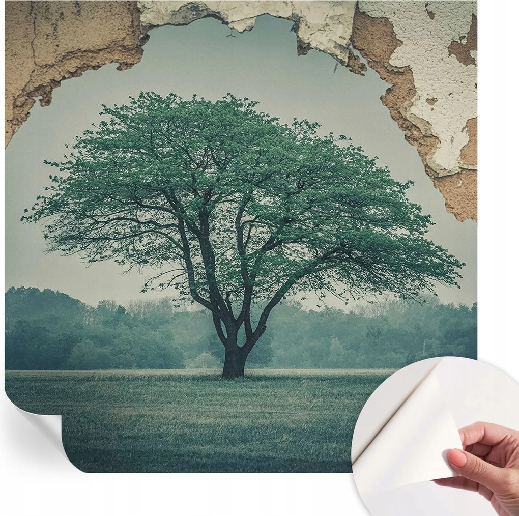 Modern öntapadós fotótapéta falra Magányos fa 250x250 cm
