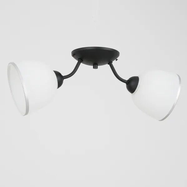 Mennyezeti lámpa AVIA 2xE27/60W/230V