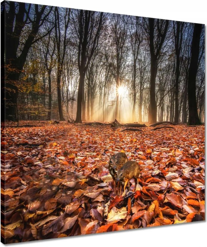 Vászonkép 50x50 Kihalás fenyegeti