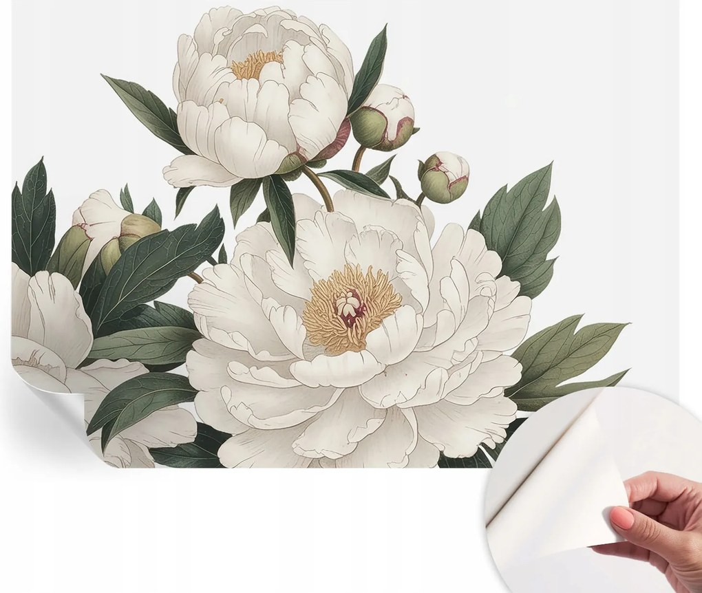 Fotótapéta Fali tapéta Hálószobába és Nappaliba Fehér peonie 208x146 cm
