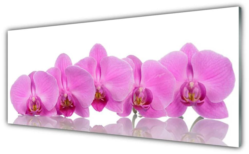Modern üvegkép Rózsaszín orchidea virágok 120x60cm