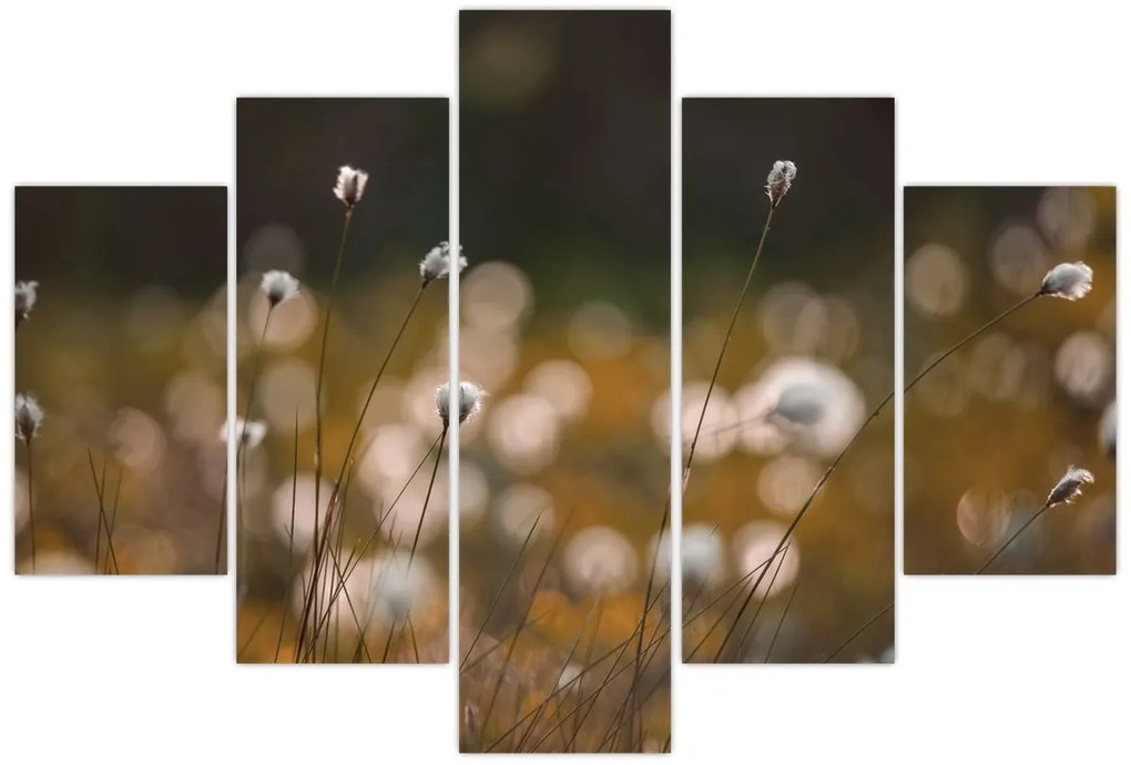 Kép - Gyapotfűvel borított rét N⁰2 (150x105 cm)