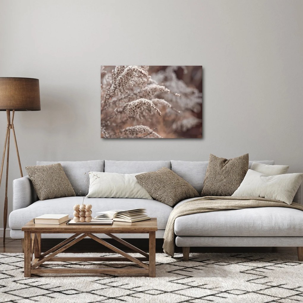 A növények képe (70x50 cm)