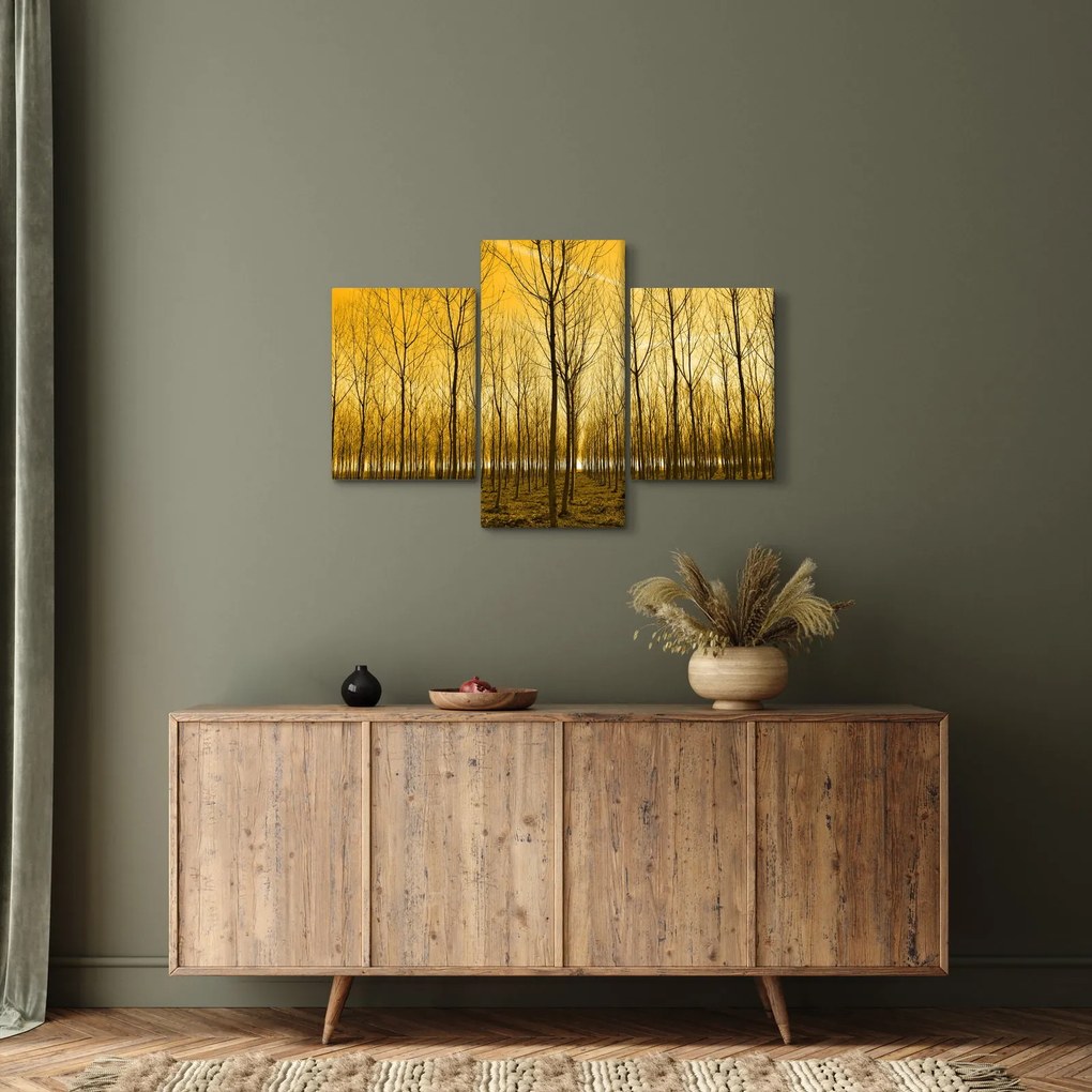 Kép - Faültetvény (90x60 cm)