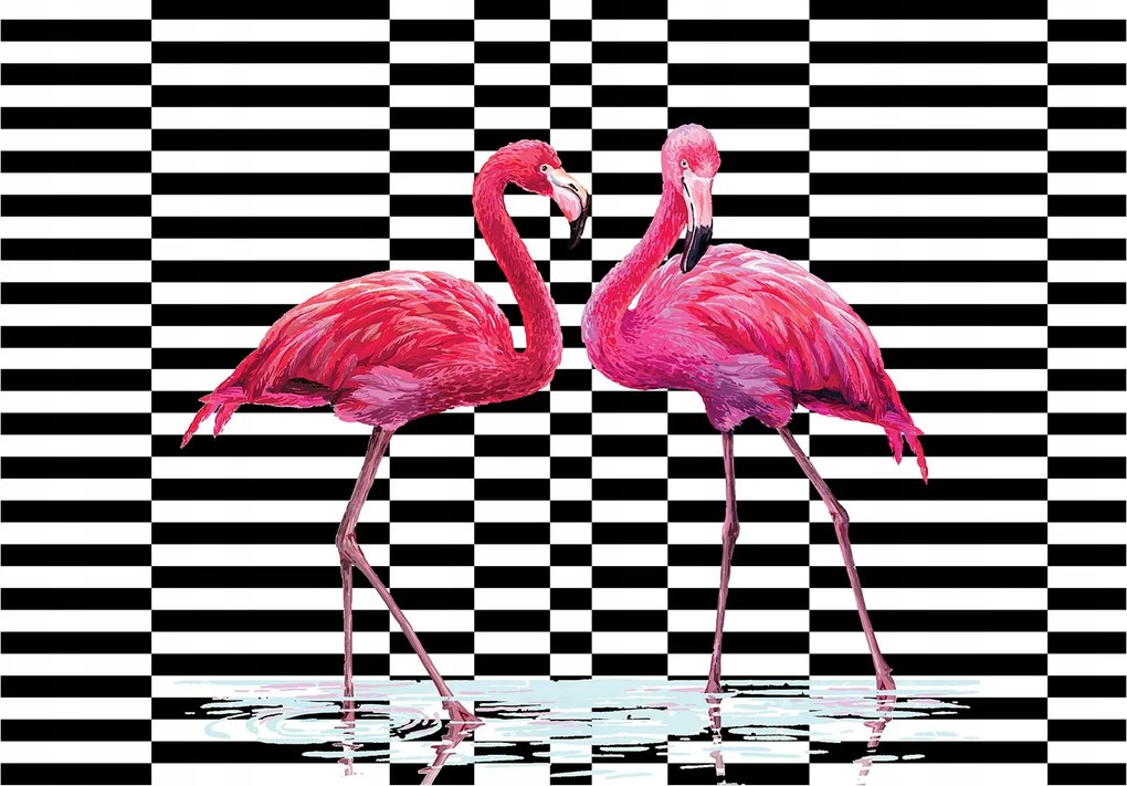Fotótapéta Flamingók sakk elegancia kontraszt 254x184 vinil +ragasztó