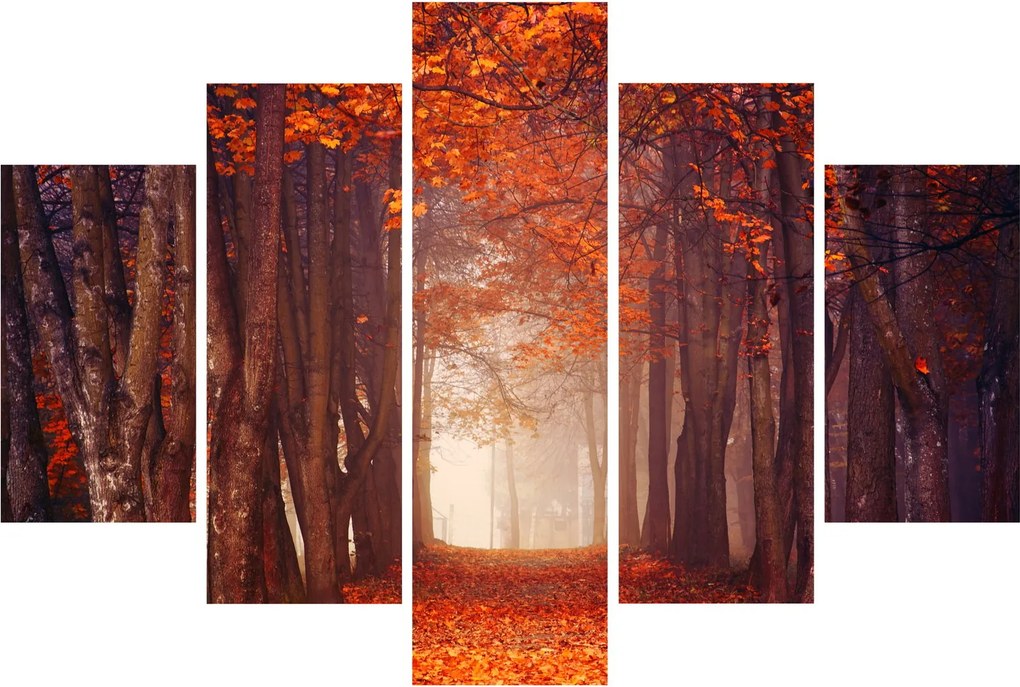 Kép - őszi erdő (150x105 cm)