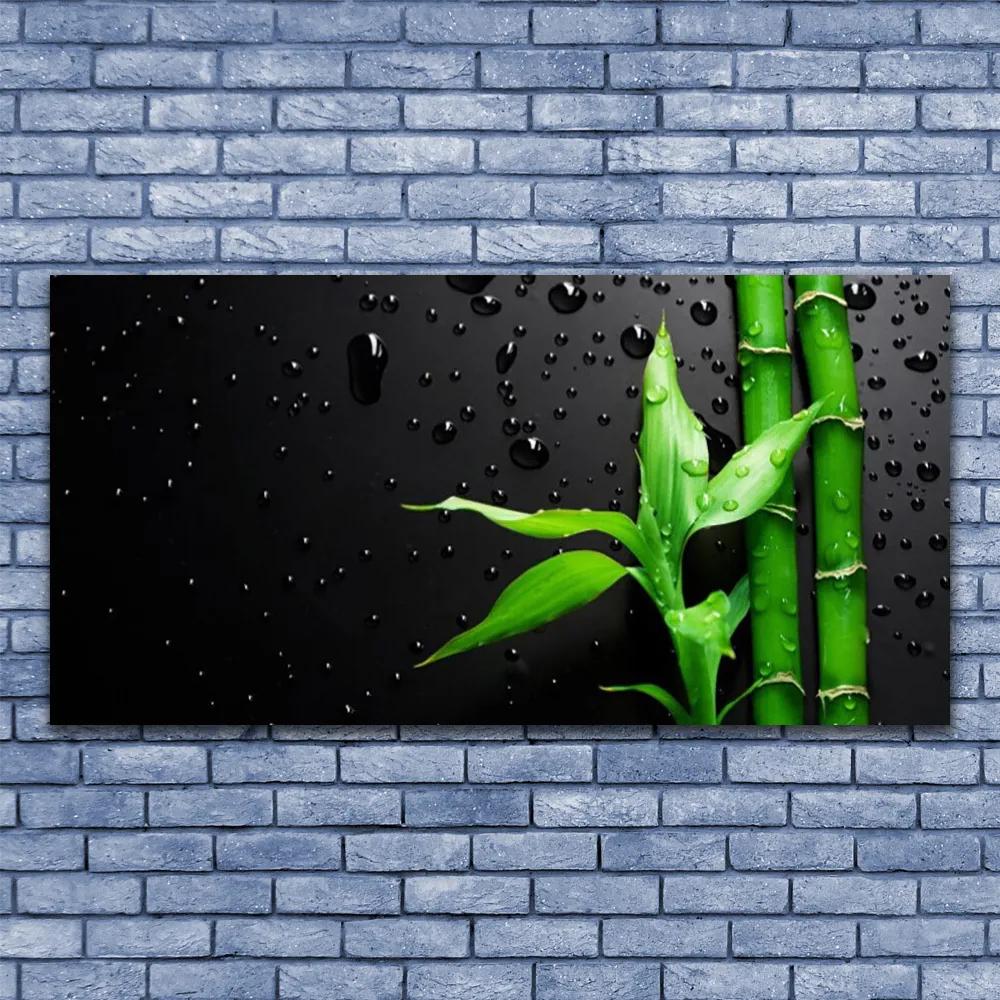 Vászonkép falra Bambusz levelek Plant 100x50 cm