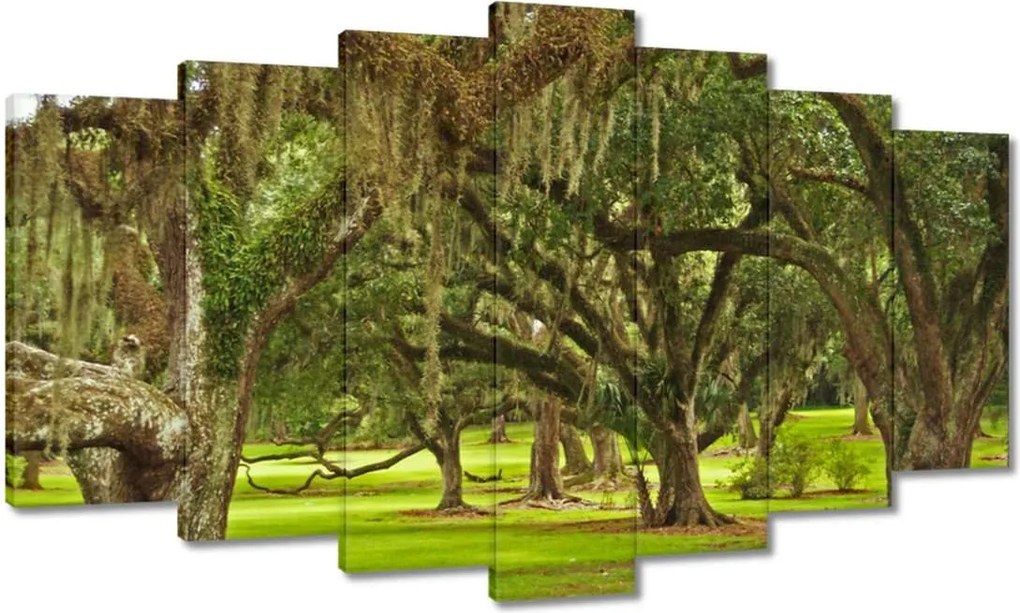Vászonkép 140x80 Park tölgyfákkal