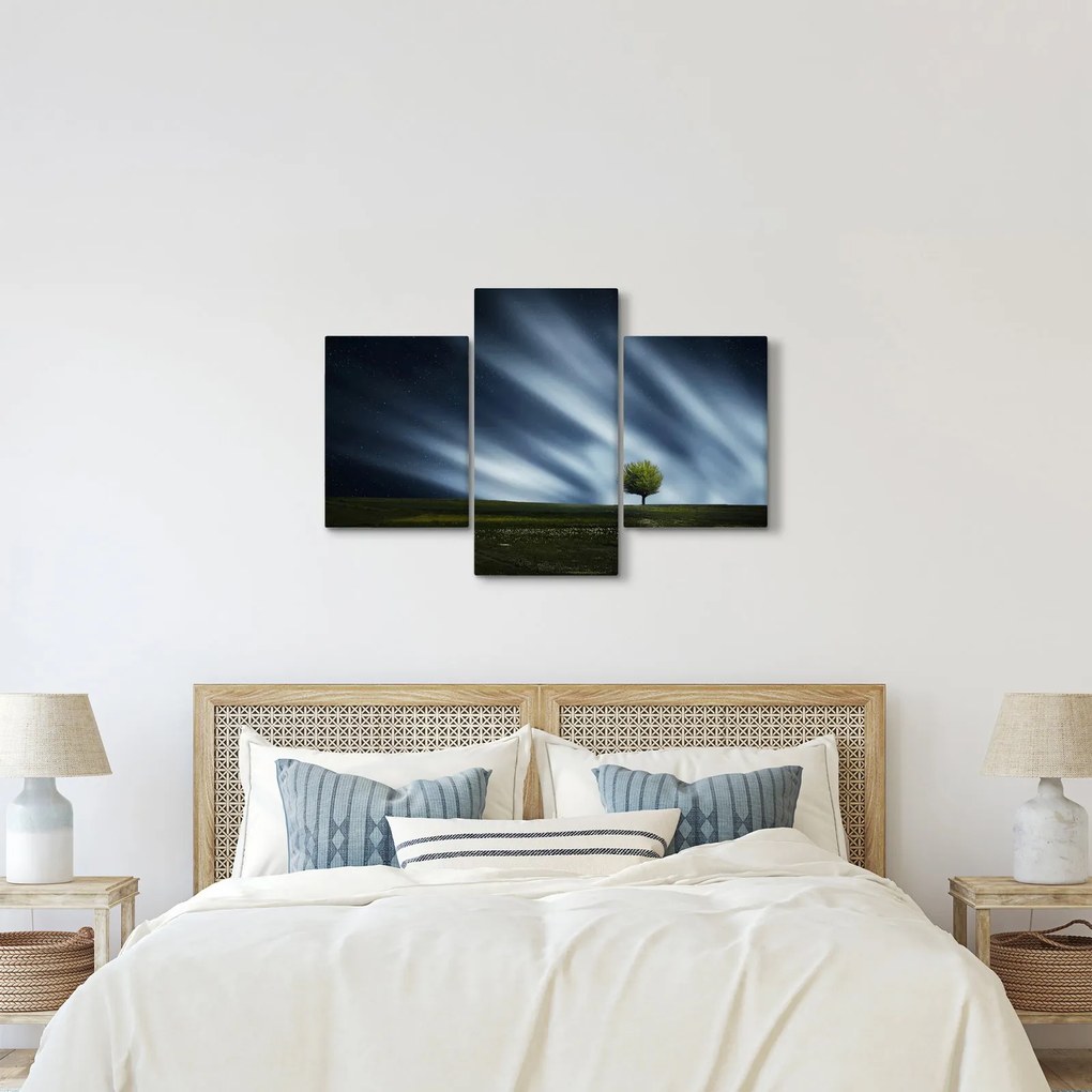 Az aurora borealis képe egy lápvidéken (90x60 cm)