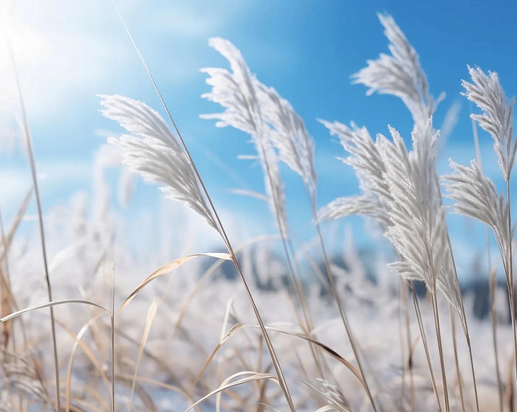 Poszter 76x60,5cm Fű közötti zaj