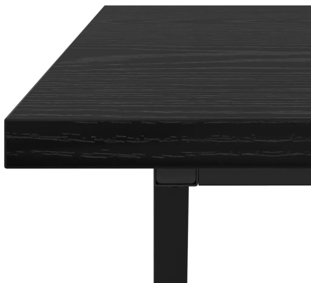 Fekete Tölgy Kávézóasztal 100x50x40 cm Műanyag Fa és Fém