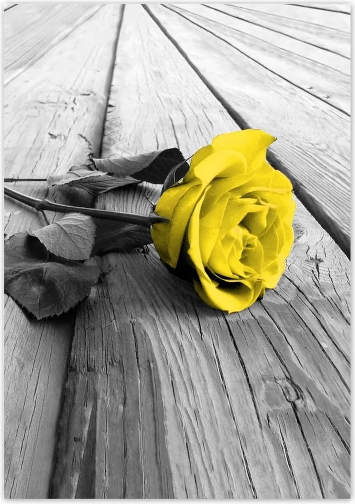 Poszterek 70x100 Sárga rózsa a deszkákon
