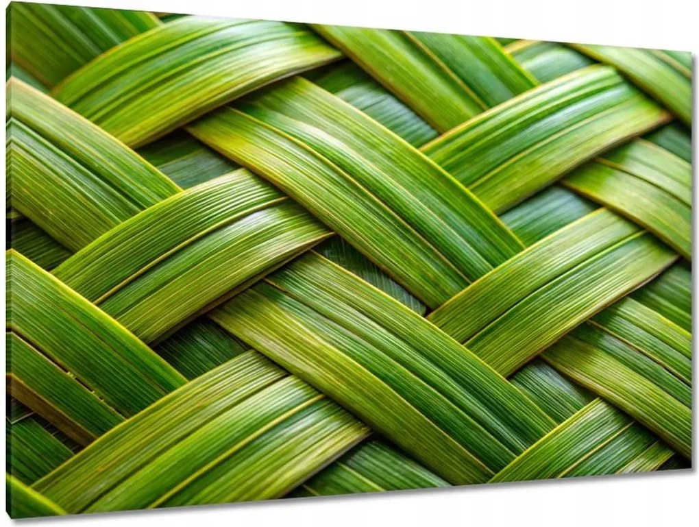 Vászonkép 120x80 Zöld fonott Zöld rattan fonott lemez