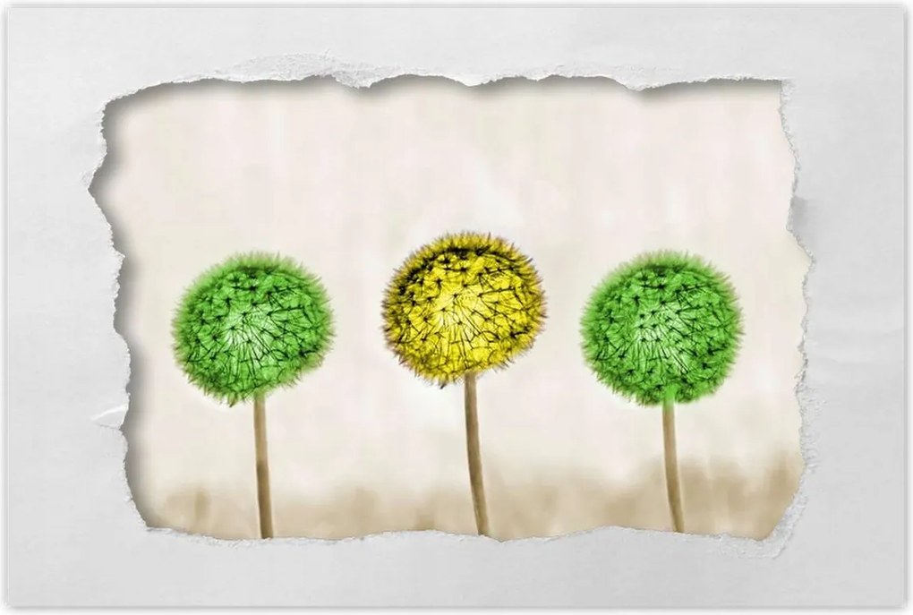 Poszterek 120x80 Sárga a lime között